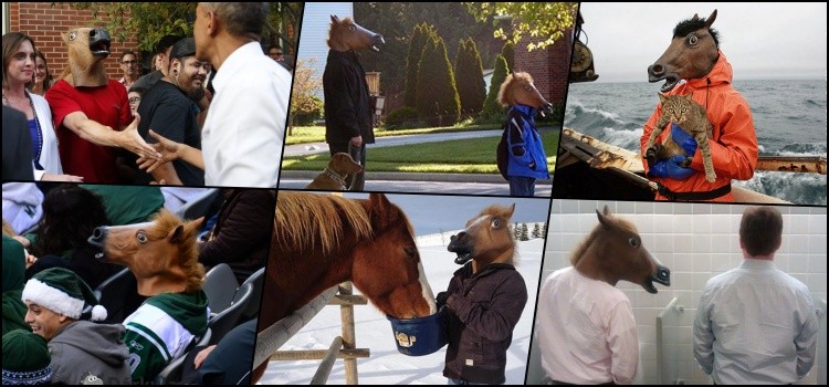 Masque de tête de cheval - comment est-il devenu viral?