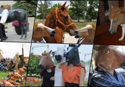 Maschera a testa di cavallo: come è diventata virale?
