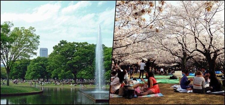 Yoyogi Park - der größte Park in Tokio