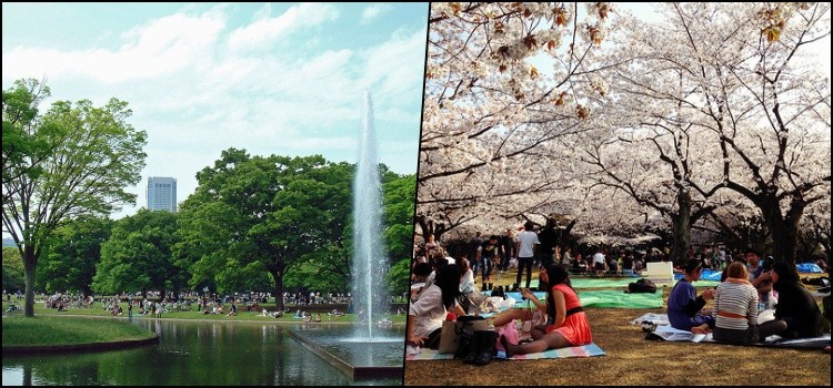 Taman Yoyogi - taman terbesar di Tokyo