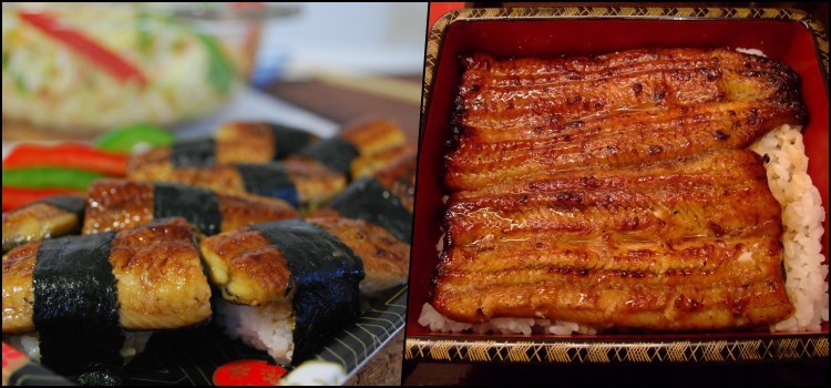 Unagi - ปลาไหลน้ำจืดในอาหารญี่ปุ่น