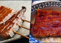 Unagi - Freshwater eels in Japanese cuisine