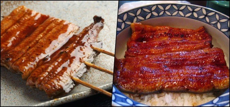 Unagi – Enguias de água doce na culinária japonesa