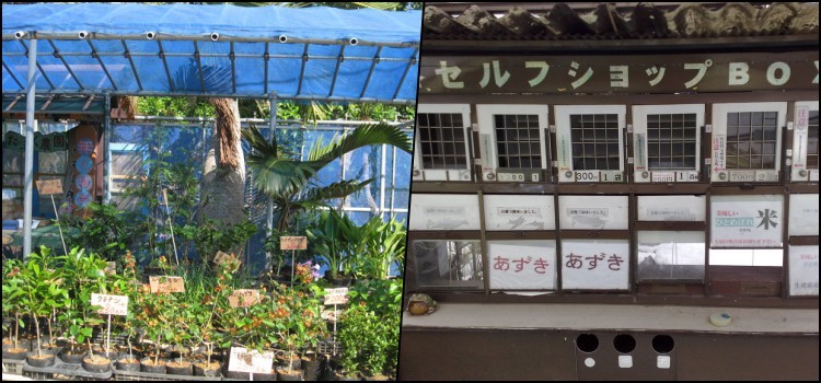 Mujin hanbai - market stalls without vendors in japan