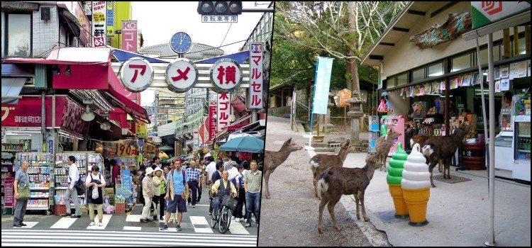 Examples of honesty and safety in stores in Japan