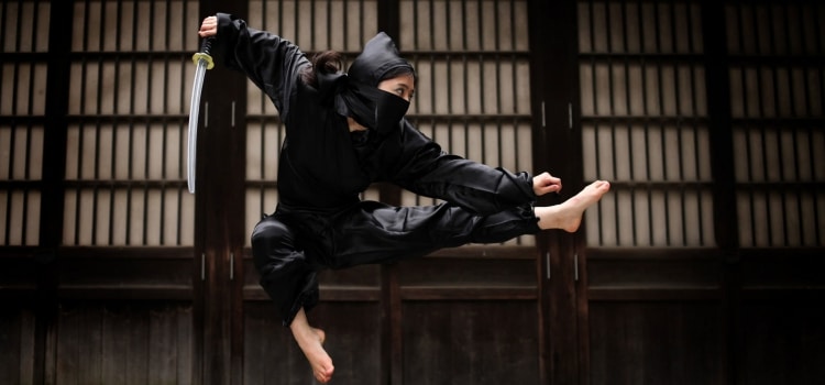 10 seni bela diri Jepang + daftar ninjutsu [忍術] - seni bela diri ninja