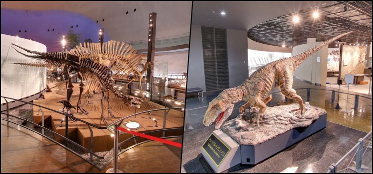 متحف فوكوي للديناصورات - اليابان