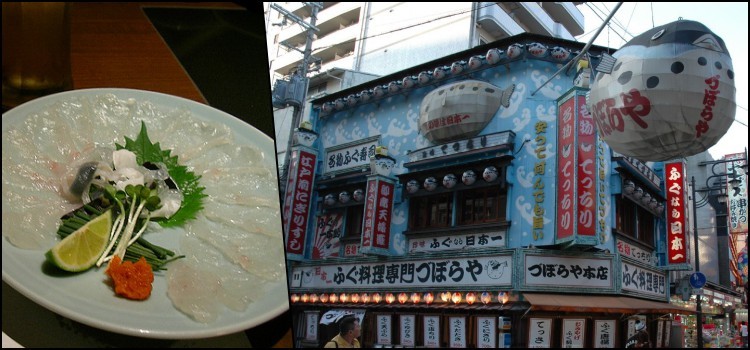 Fugu - pez globo y su veneno peligroso y mortal