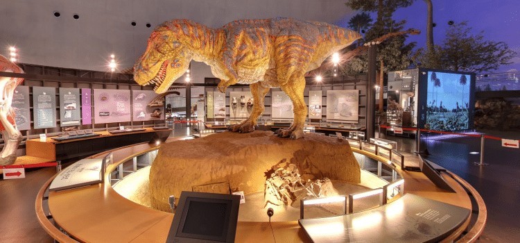 พิพิธภัณฑ์ไดโนเสาร์ Fukui - ญี่ปุ่น