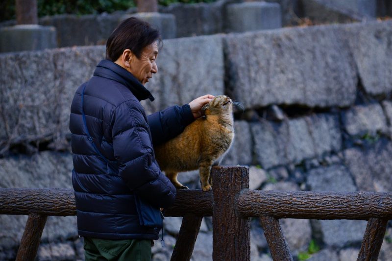 Überlegenheitskomplex von Nachkommen und Japanern