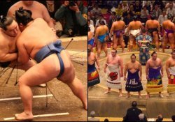 Sumo - The life of the Fighters and Curiosities