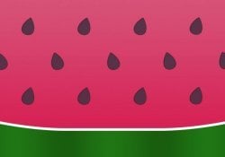 Quadratische Wassermelone aus Japan - Kuriositäten und Erfolg