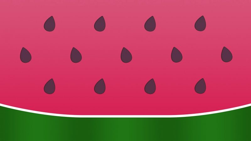 Semangka persegi Jepang – hal-hal sepele dan sukses