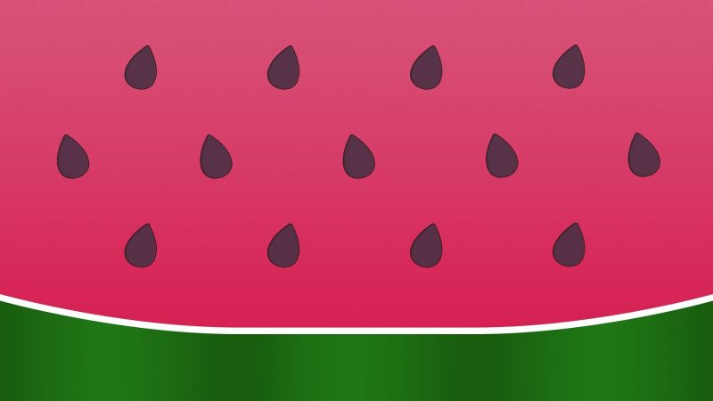 Quadratische Wassermelone Japans - Kuriositäten und Erfolg