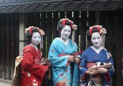 Geisha - Who Are They Really? History and curiosities