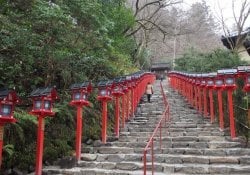 Kyoto - Hướng dẫn đầy đủ - Các thành phố và Du lịch