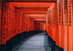 Kyoto - Guide Complet - Curiosités et Tourisme