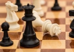 Parole e termini degli scacchi giapponesi