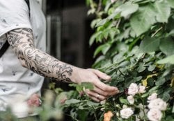 Tattoo auf Japanisch - Was denkt Japan über Tattoos?
