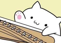 Bongo Cat – The meme of the cat playing instruments