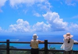 Ikigai-일본인의 삶의 의미, 목적 및 이유
