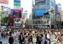 Tokyo - Các thành phố và hướng dẫn đầy đủ