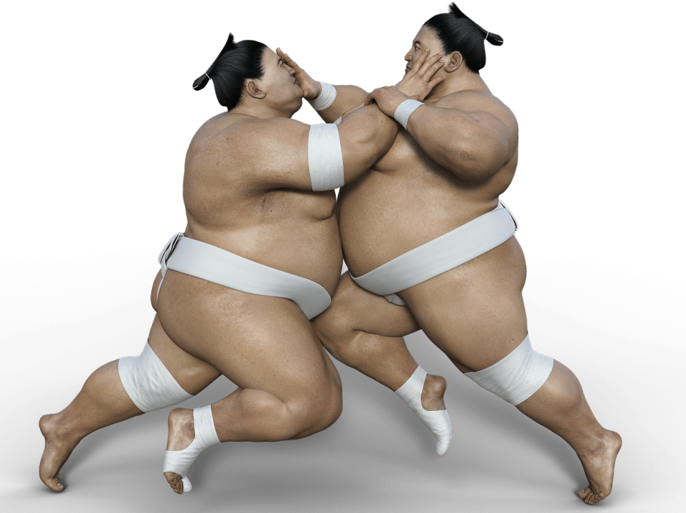 Sumo - the life of the fighters and curiosities