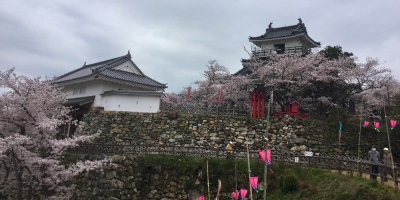 Tipps, um in Japan kein Geld für den Tourismus auszugeben