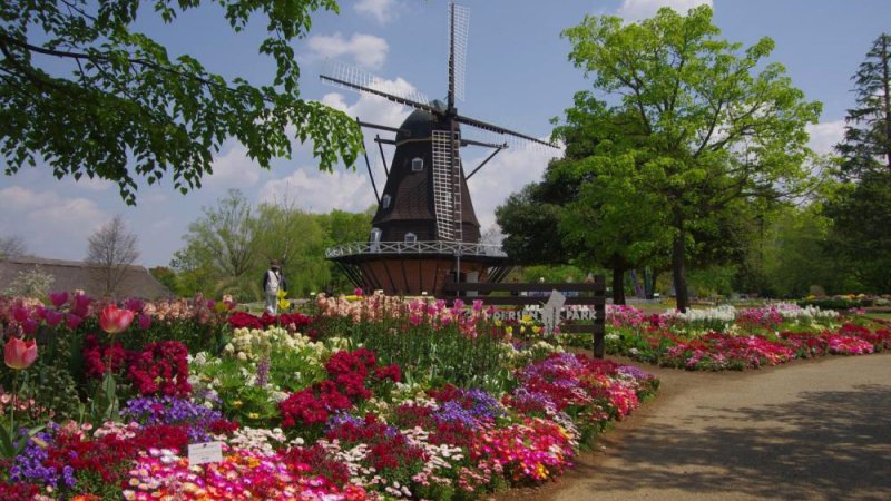 Andersen park - conhecendo o mundo em lugares estrangeiros do japão