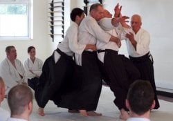 Aikido - Der Weg zur Vereinigung