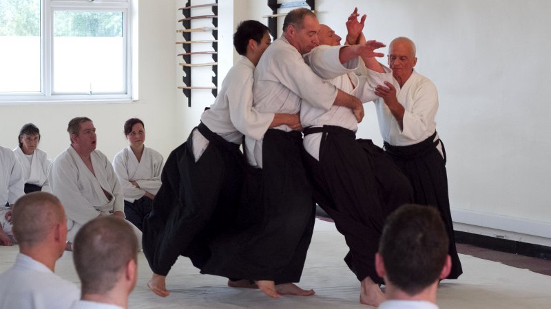 Japanese martial arts + aikido - the way of harmony