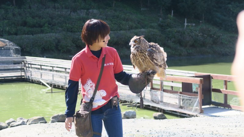 Significado de kawaii - cultura de la ternura en japón