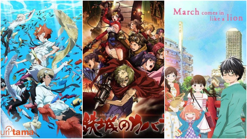 Sẽ có một mùa giải mới hoặc tiếp tục của anime?