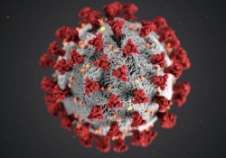 Tout sur le coronavirus au Japon