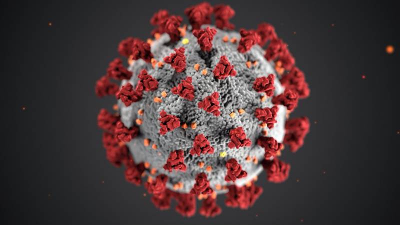 Alles über Coronavirus in Japan