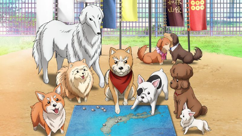 Anime avec des animaux, des chiens et des chats
