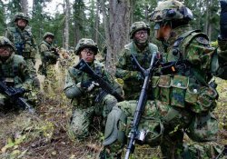 ¿Es cierto que no hay ejércitos en Japón?