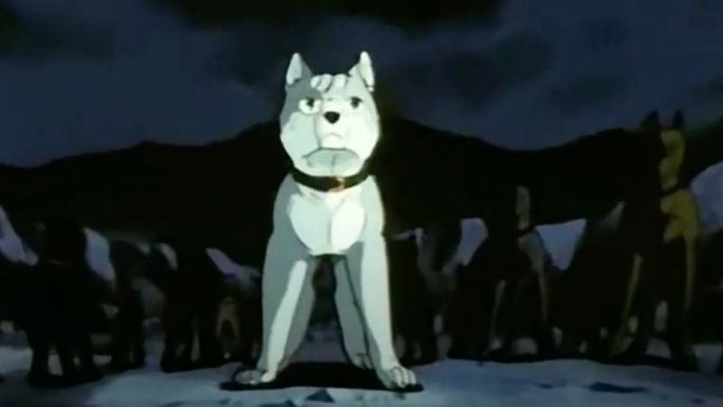 Anime dengan hewan, anjing dan kucing