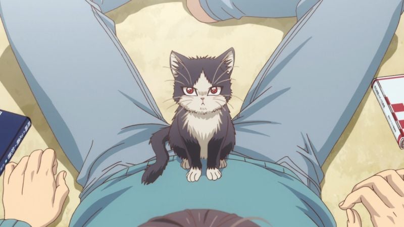 Anime dengan hewan, anjing dan kucing