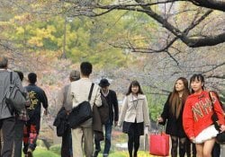 मिलिए 7 उद्यमिता के बारे में जो जापान को पेश करनी है