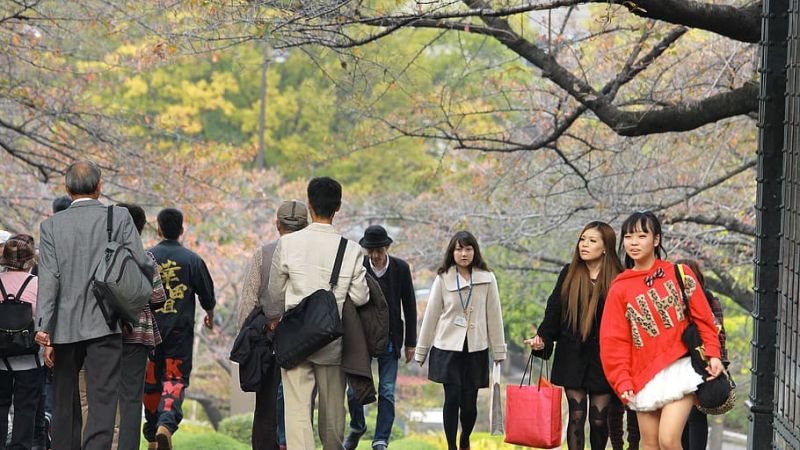 ¿Cómo se dice paz en japonés?