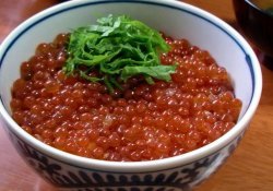 Donburi - 18 masakan Jepang dalam mangkuk