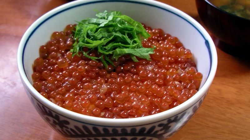 Donburi – 18 masakan Jepang dalam mangkuk