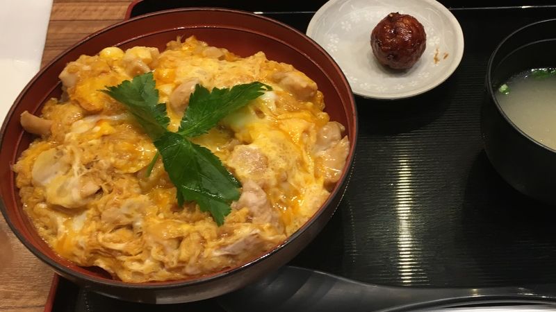 Donburi - 18 plats japonais dans le bol