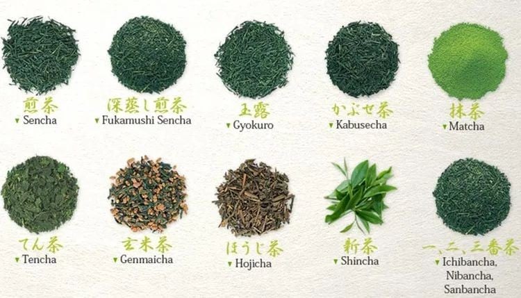 Descubre 50 tipos de tés japoneses
