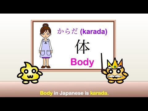科 尾尻 皮膚