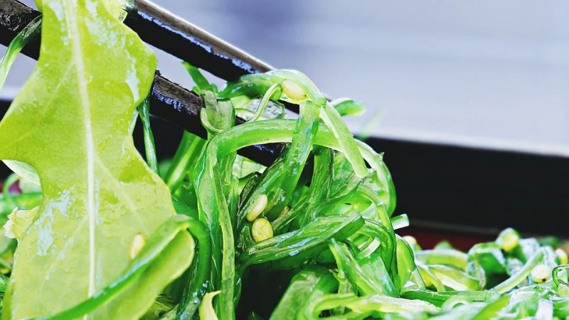 Wakame - a alga japonesa e seus benefícios