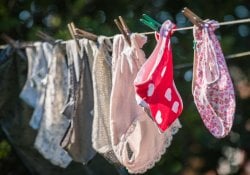 Why do Japanese steal panties? - clothesline panties