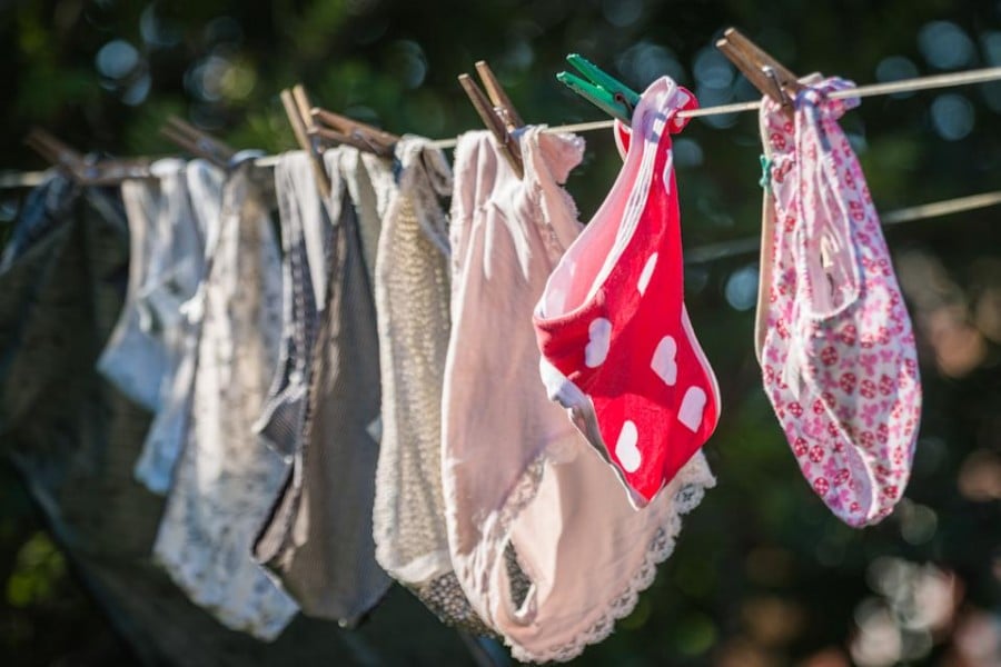 Why do Japanese steal panties?