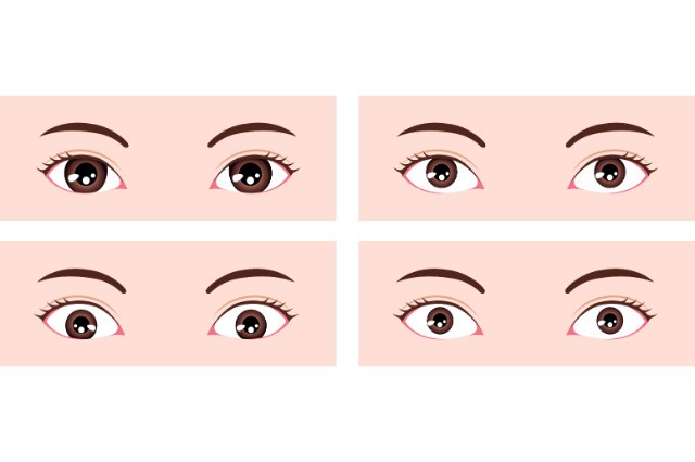 Sanpaku Eyes: ไสยศาสตร์เบื้องหลังการจ้องมอง